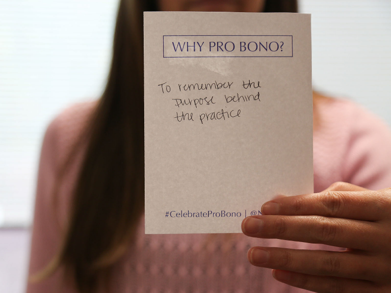 Why Pro Bono?